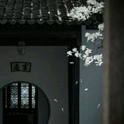 时光召唤师手游(暂未上线)v1.0 安卓版